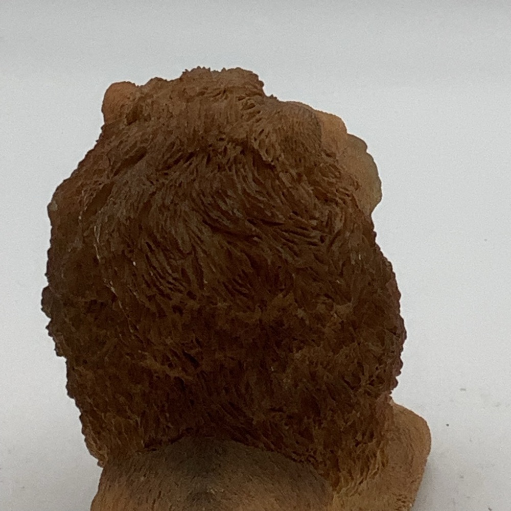Lion Figurine - Picture 5 of 11